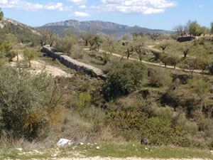 View across to Forada ridge