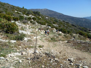 Past Font d'Olbi and onto the GR330
