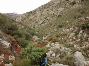 Barranco descent